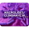 Macrolides/ Clindamycin