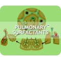 Pulmonary Surfactants 