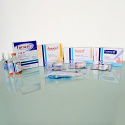 Furocef 250mg/Vial Injection 1's Pack Furocef 250mg/Vial Injection 1's Pack